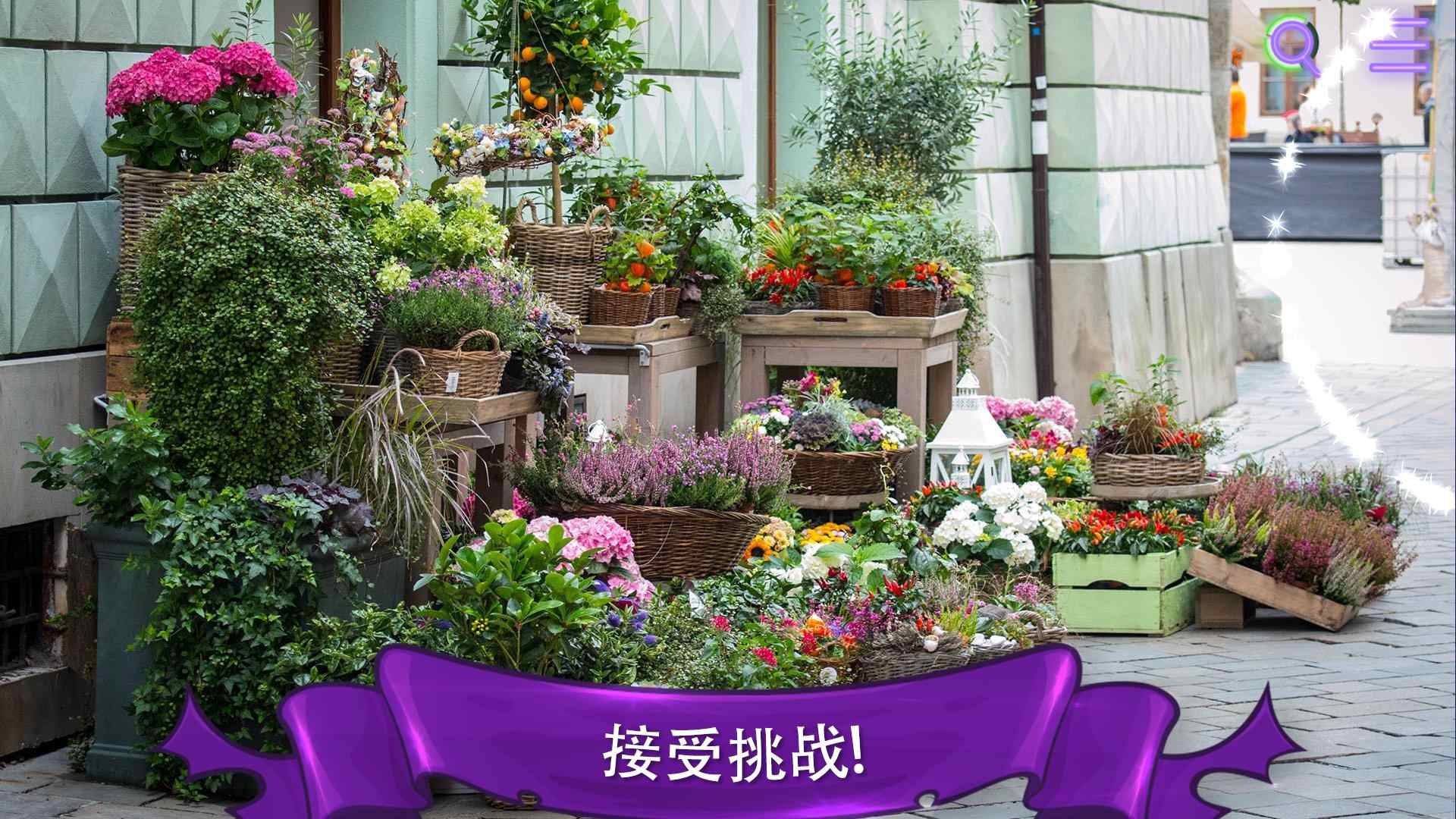 寻找猫：隐藏对象