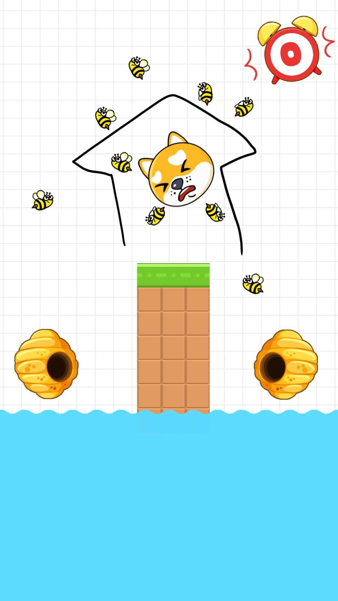 保护狗狗 保护狗狗