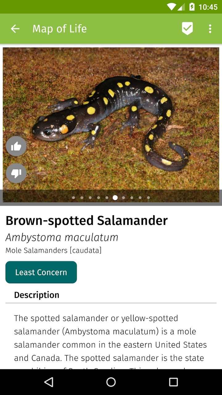 生命地图 生命地图