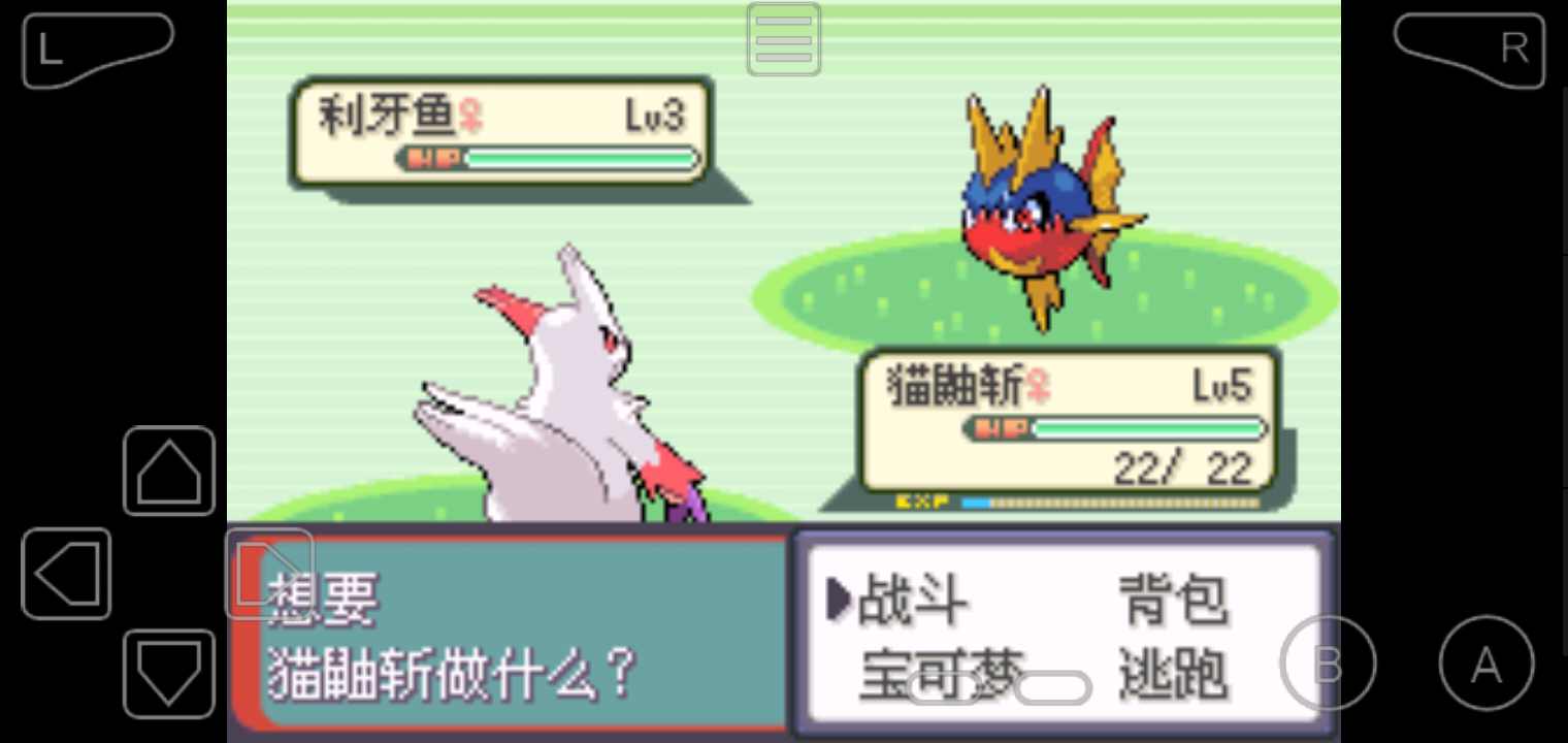 口袋妖怪绿宝石随机版