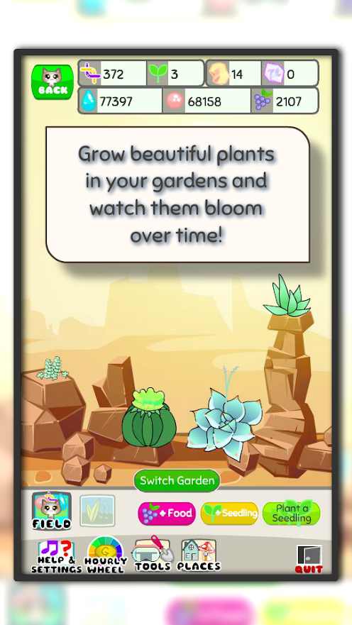 猫咪花园 猫咪花园