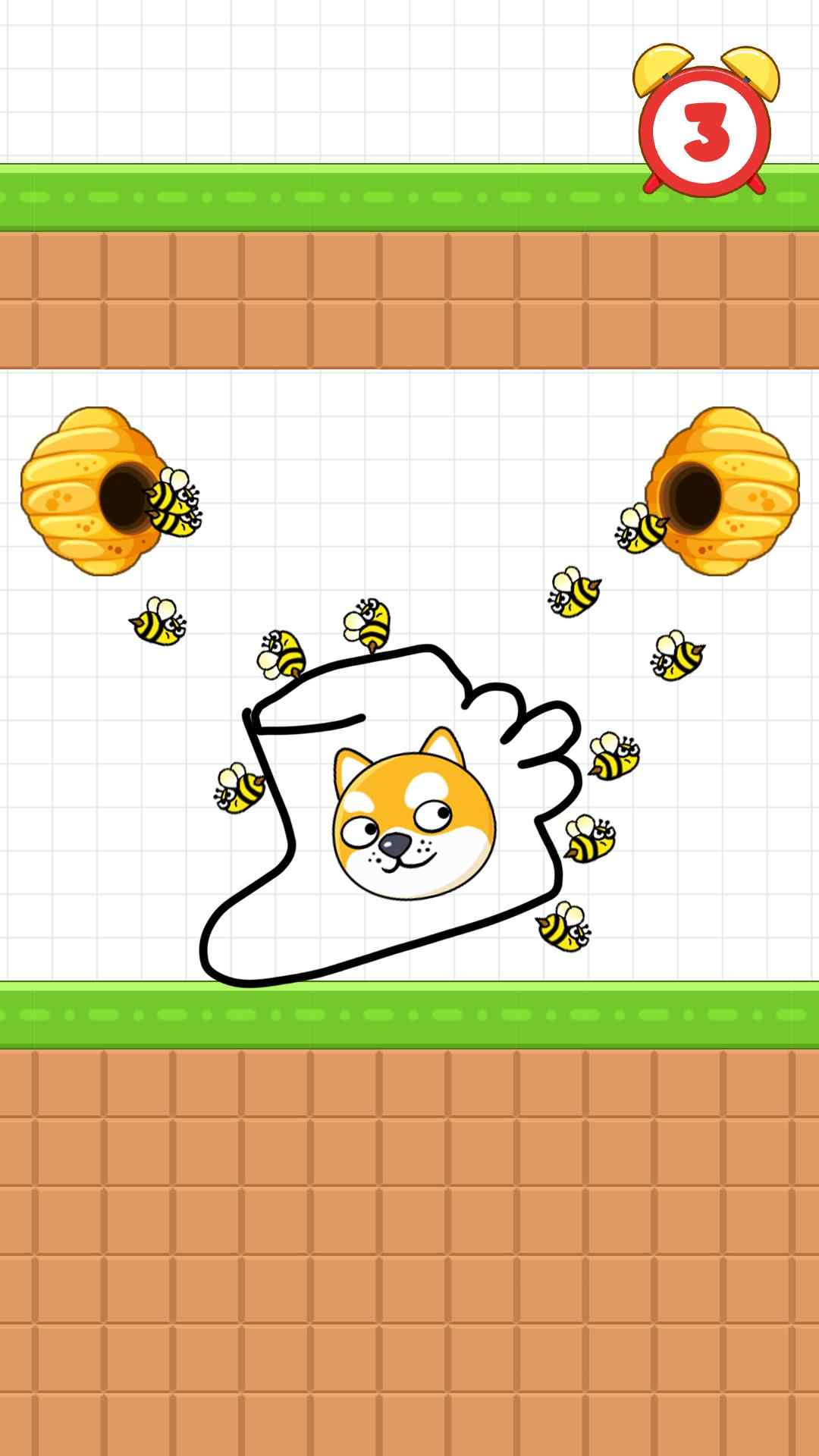 保护狗狗 保护狗狗