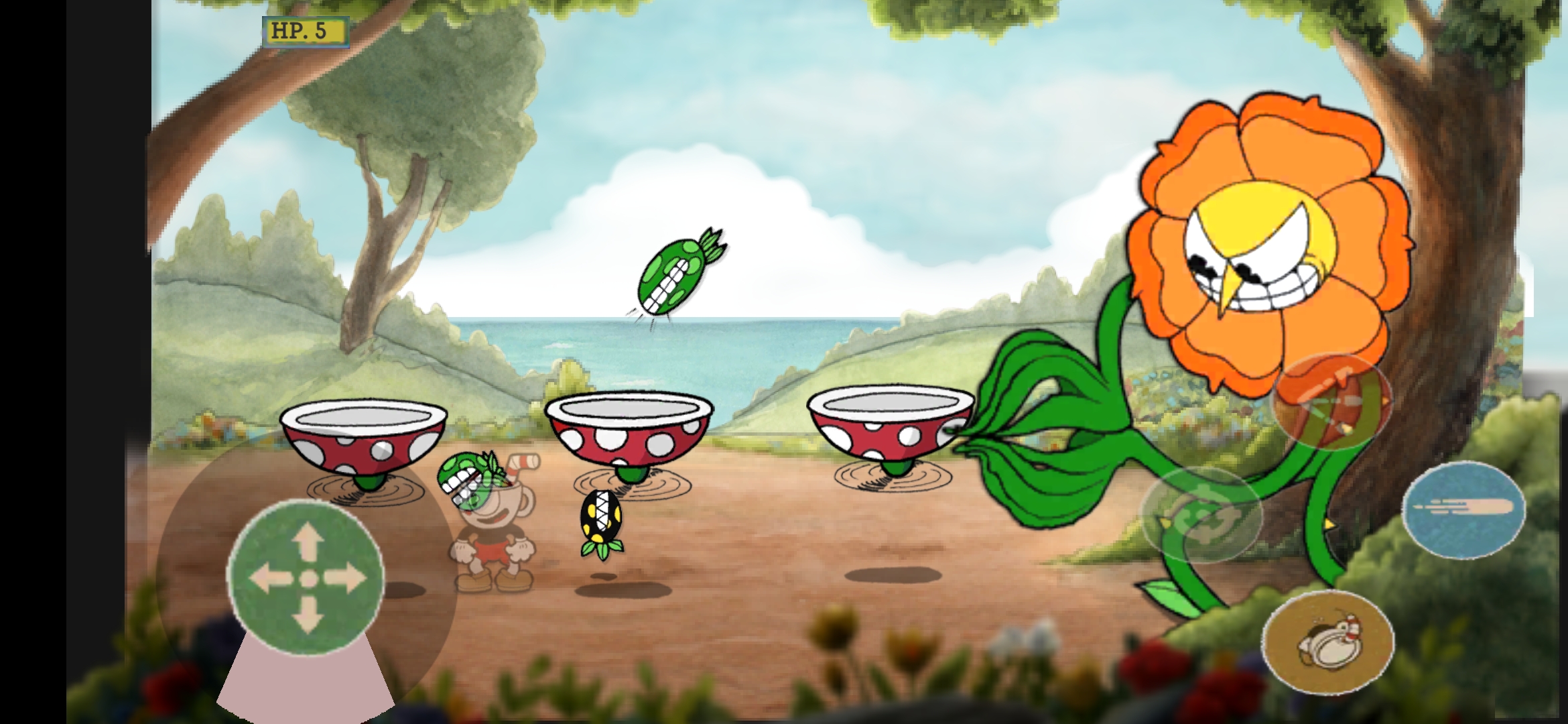 茶杯头：卡格尼康乃馨