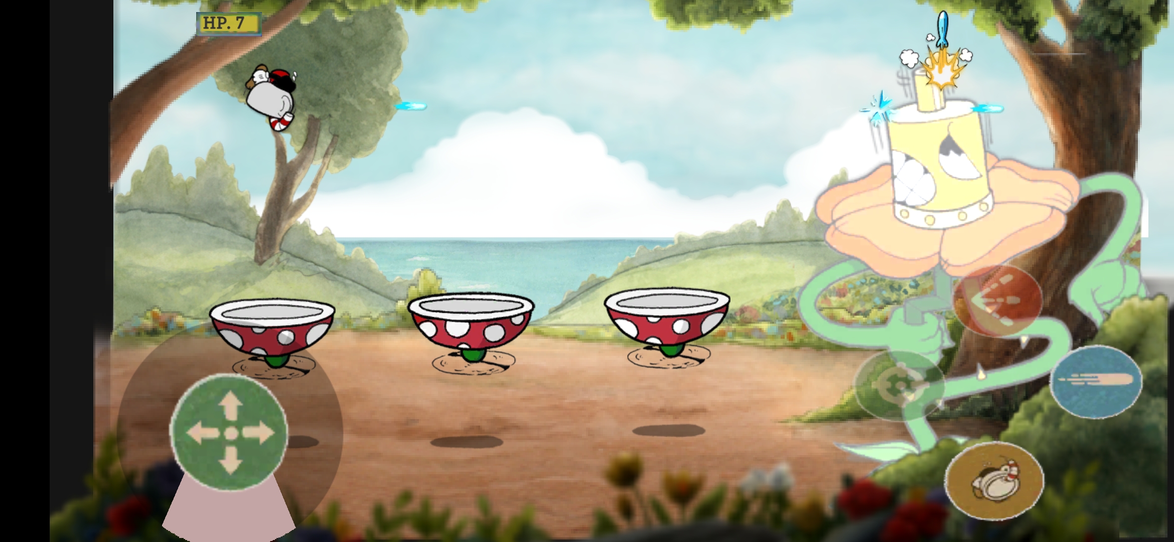 茶杯头：卡格尼康乃馨