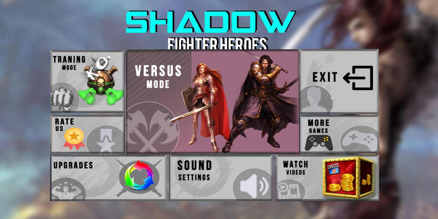 暗影斗士英雄：功夫大战