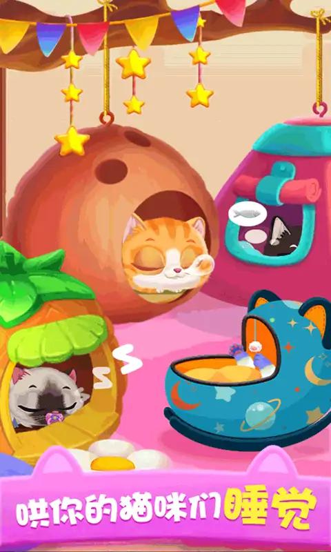 猫咪公主 猫咪公主