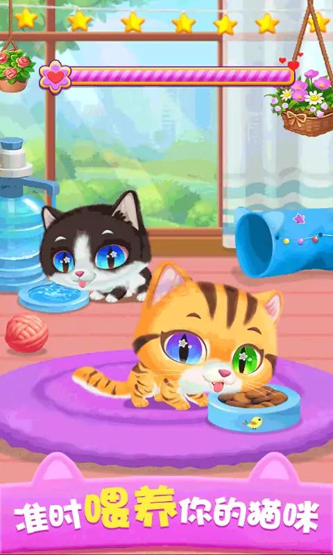 猫咪公主 猫咪公主