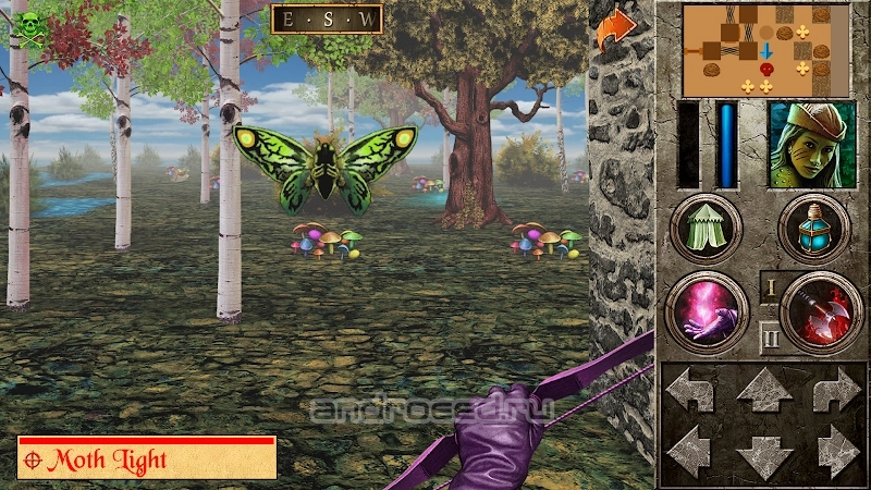 Quest - CCS Quest - CCS