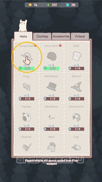 猫咪和汤 猫咪和汤