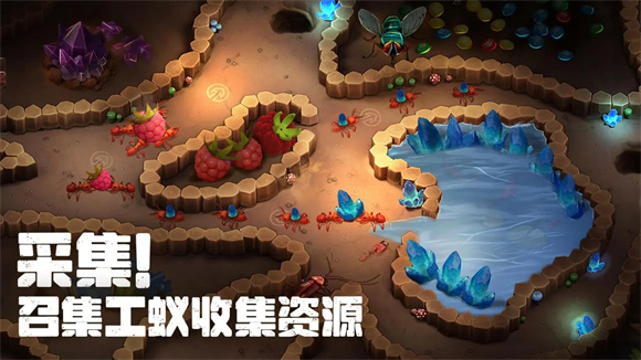 蚂蚁大冒险 蚂蚁大冒险