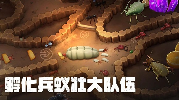 蚂蚁大冒险 蚂蚁大冒险