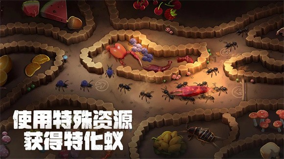 蚂蚁大冒险 蚂蚁大冒险