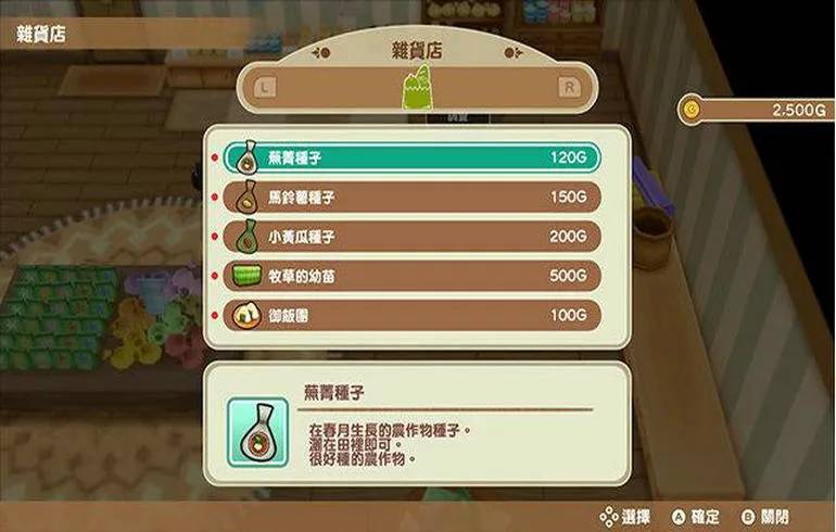 牧场物语：重聚矿石镇