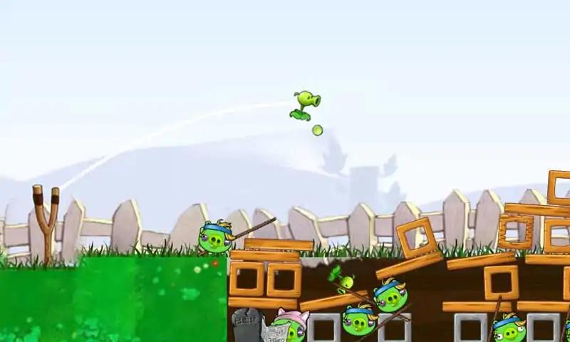 愤怒的植物大战捣蛋猪 愤怒的植物大战捣蛋猪