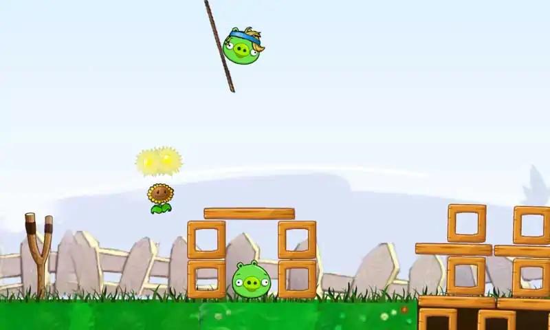 愤怒的植物大战捣蛋猪 愤怒的植物大战捣蛋猪