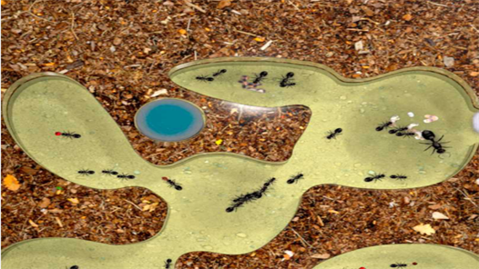 蚂蚁农场 蚂蚁农场