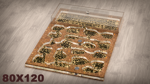 蚂蚁农场 蚂蚁农场