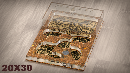 蚂蚁农场 蚂蚁农场