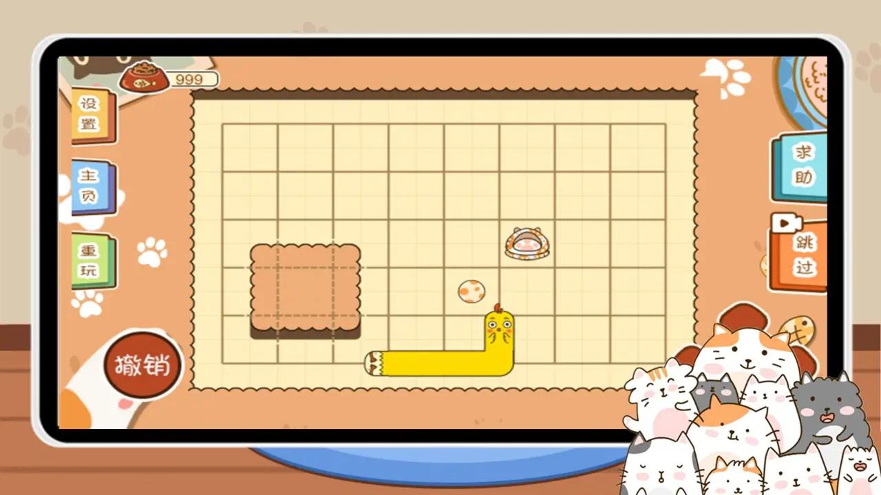 猫咪收纳师 猫咪收纳师