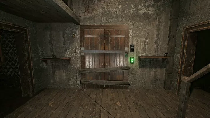 恐怖老奶奶：重制版