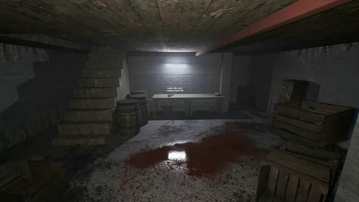 恐怖老奶奶：重制版