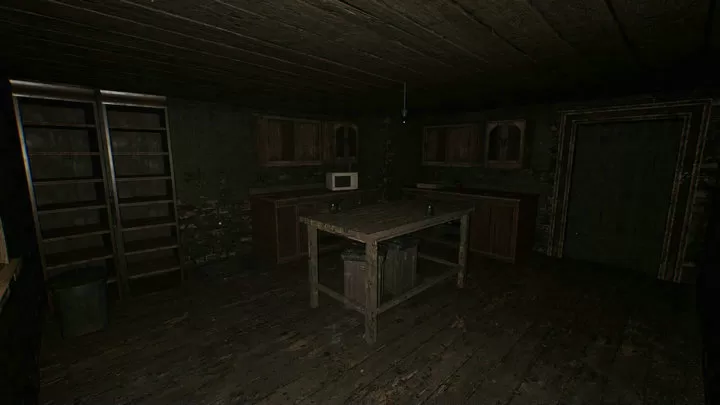 恐怖老奶奶：重制版