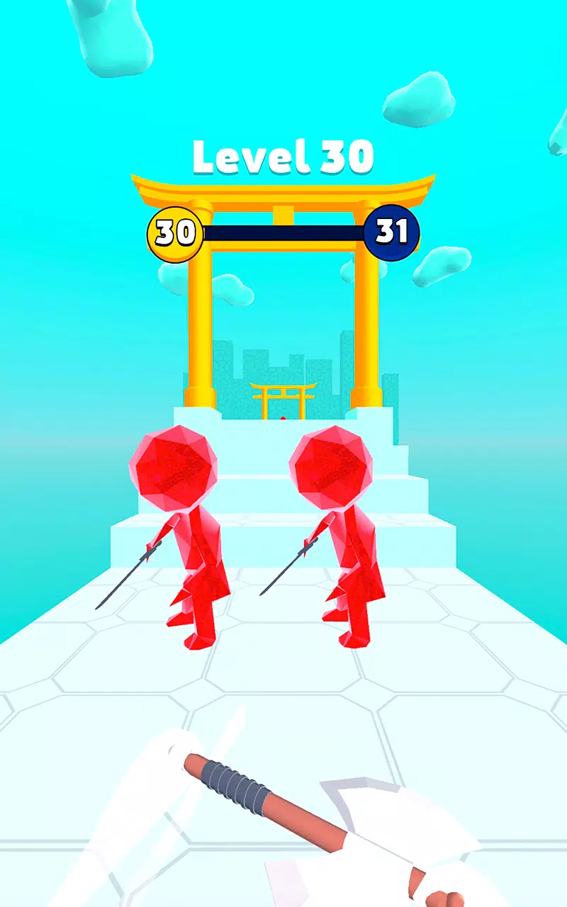 武士大师:疯狂之剑 武士大师:疯狂之剑