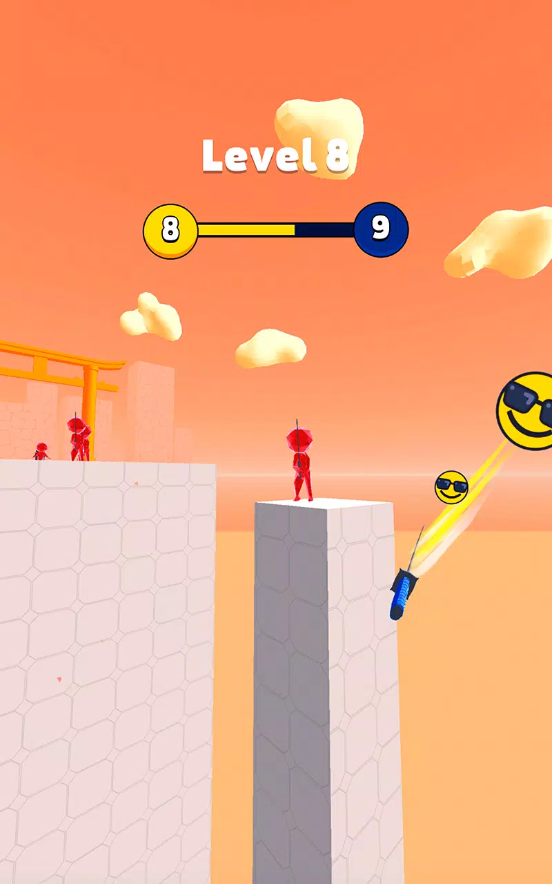 武士大师:疯狂之剑 武士大师:疯狂之剑