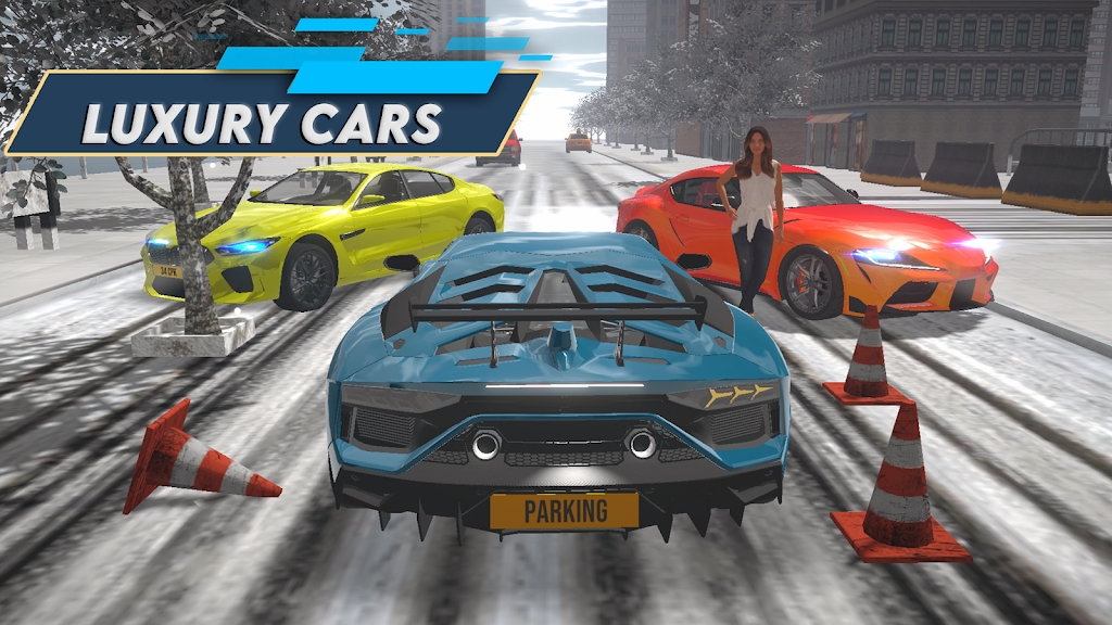 停车之王:驾驶城市 停车之王:驾驶城市