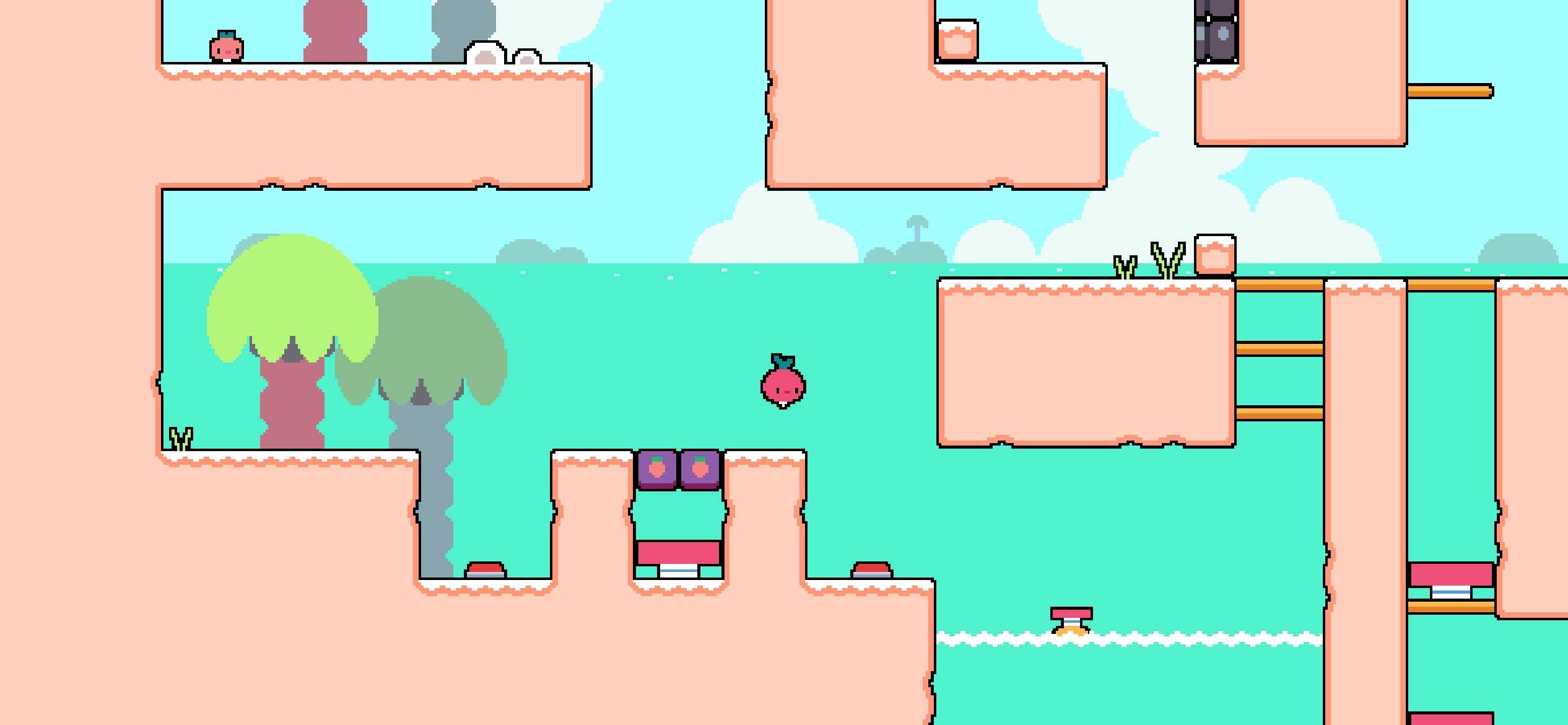 每日萝卜爸爸 每日萝卜爸爸