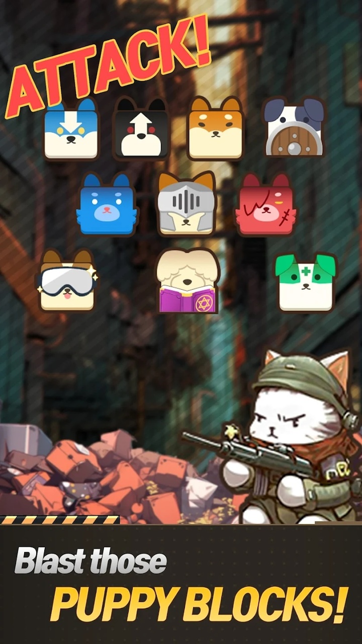 猫狗的呼唤 猫狗的呼唤