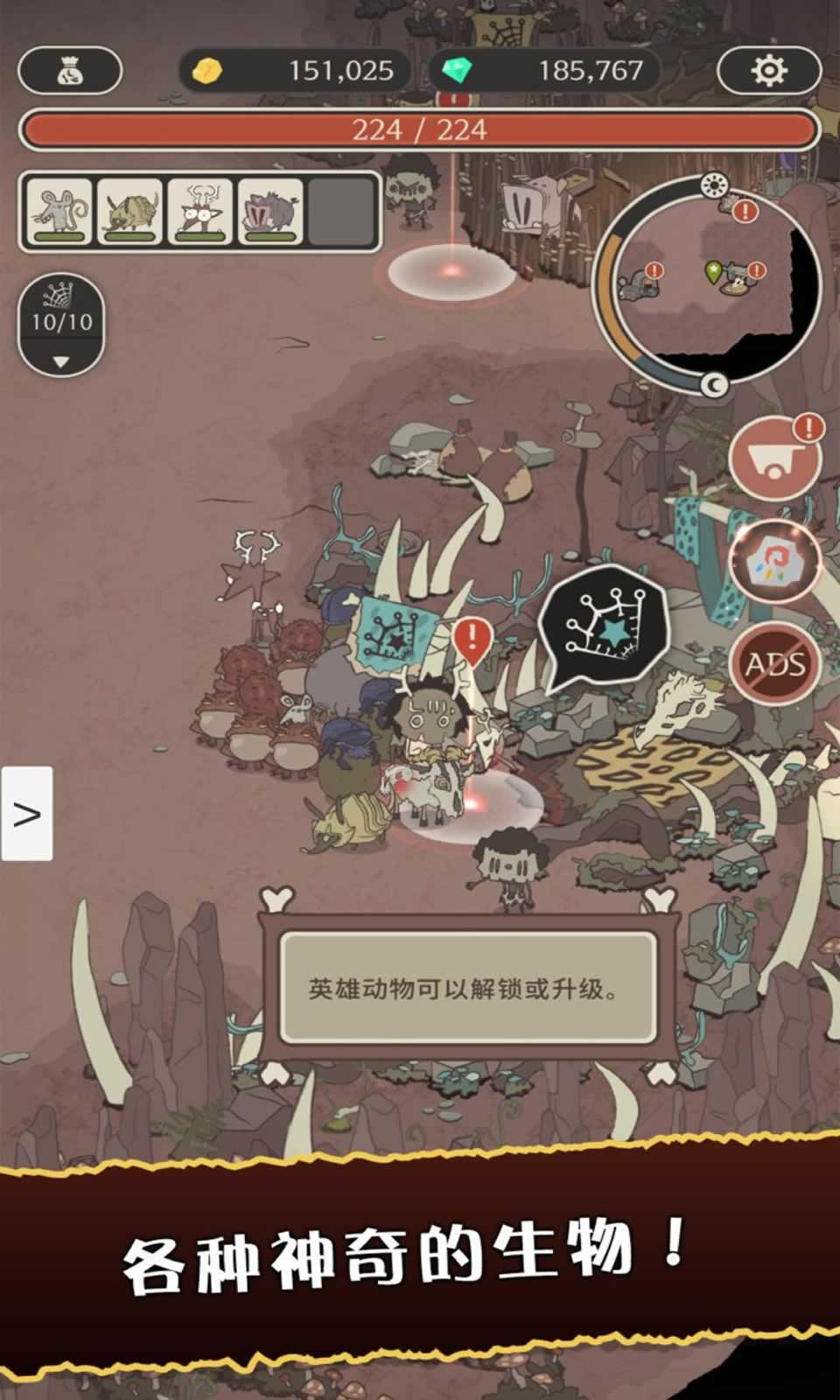 狂野驯兽师:新纪元