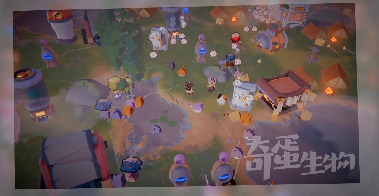 奇蛋生物 奇蛋生物