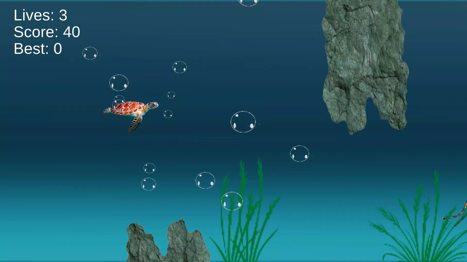 海龟海洋冒险游戏