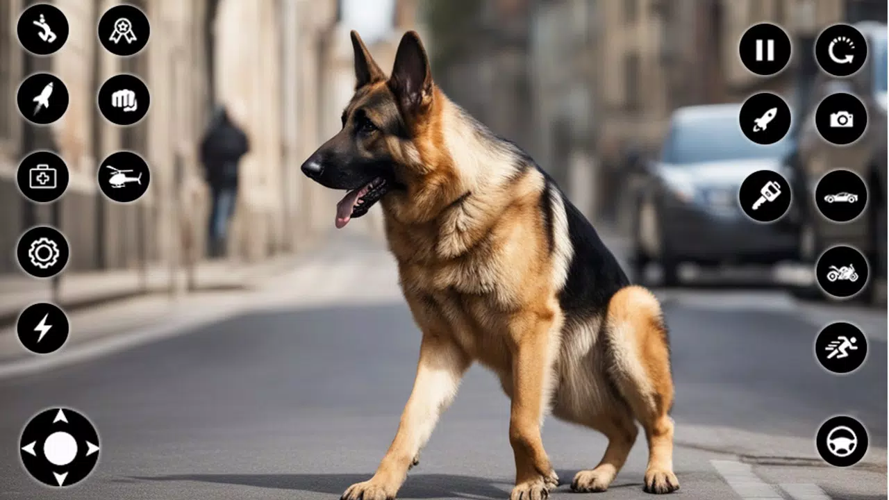 狗 模拟器 宠物 游戏 3d