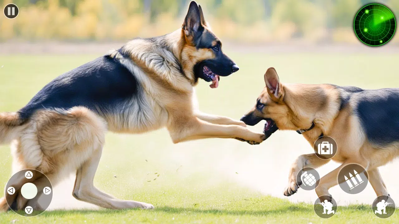 狗 模拟器 宠物 游戏 3d