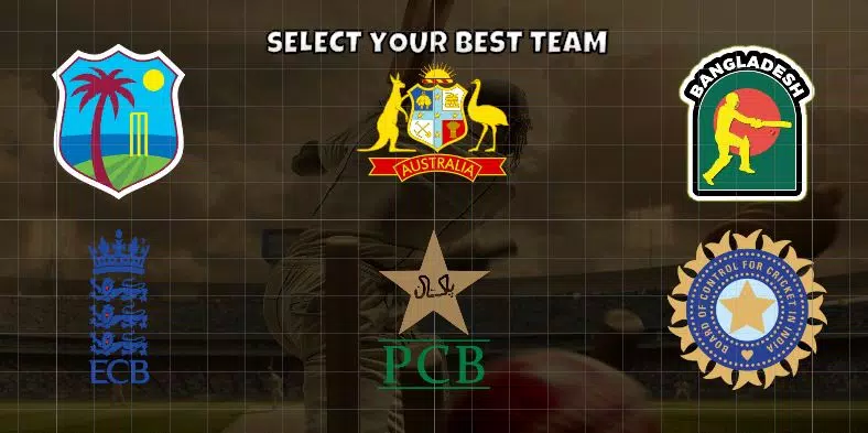 Dream Cricket 24印度谜语