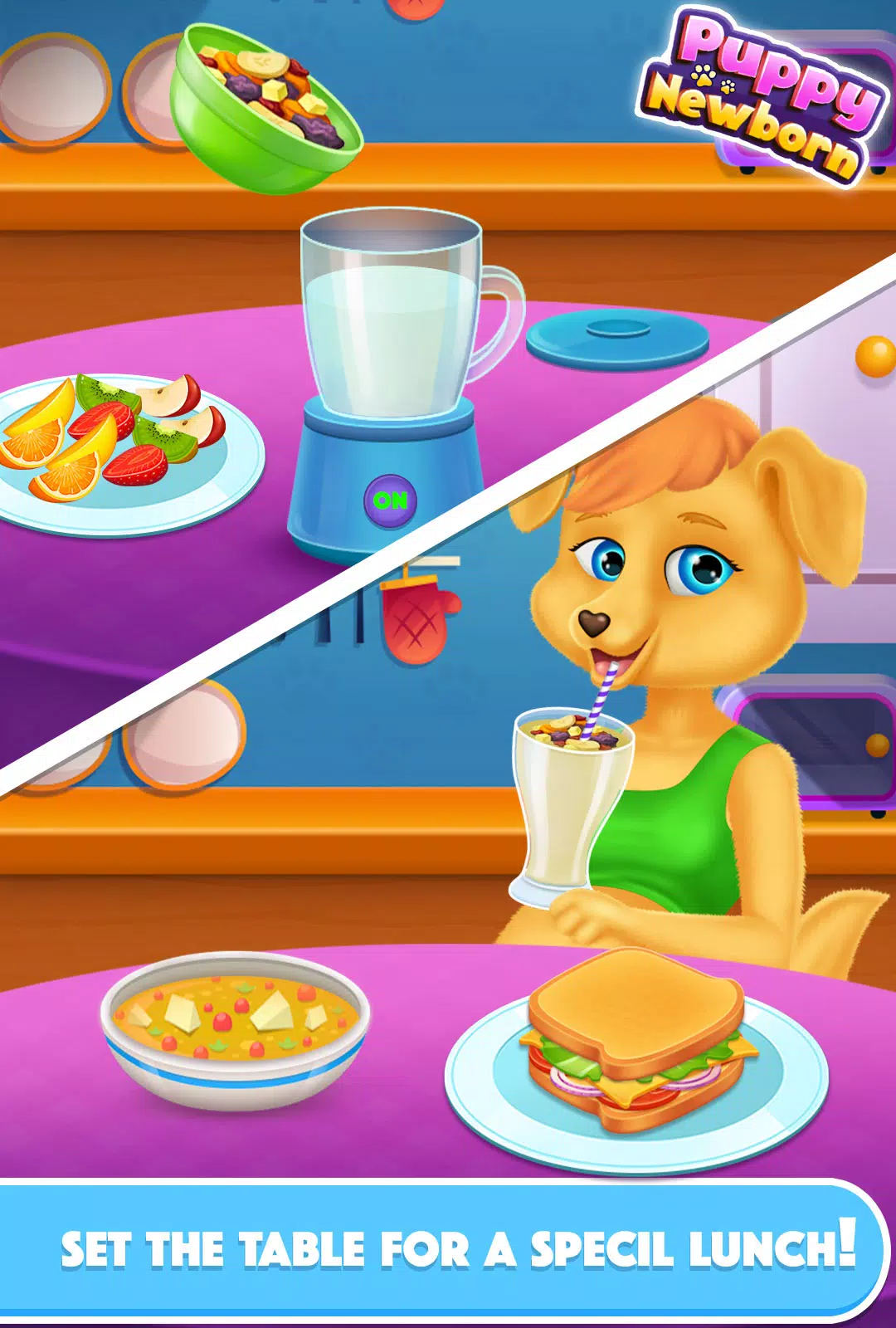 怀孕的小狗宠物日托