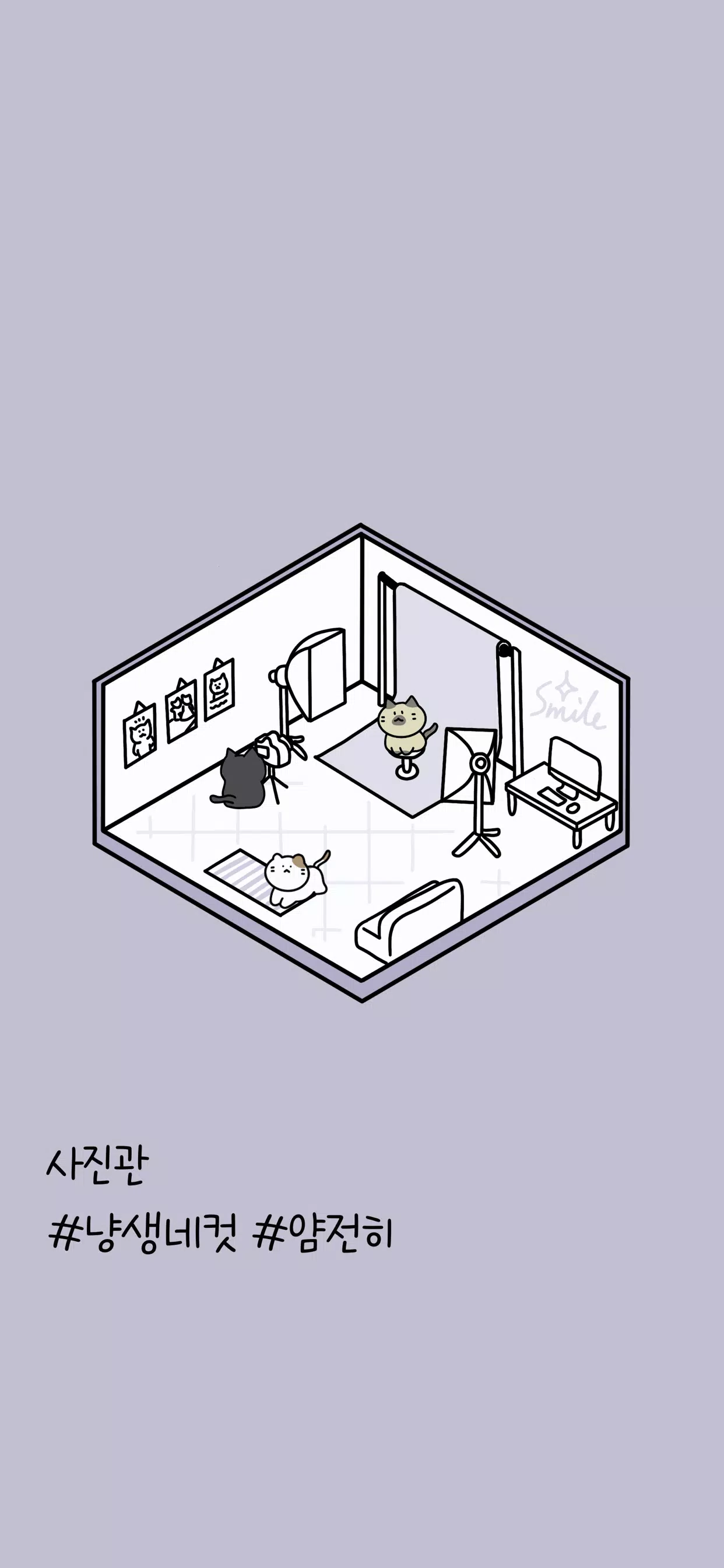 猫建筑物主人高英姬