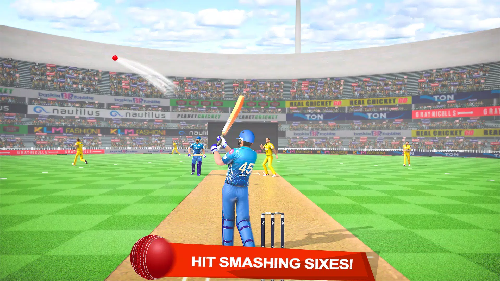 2024年板球锦标赛