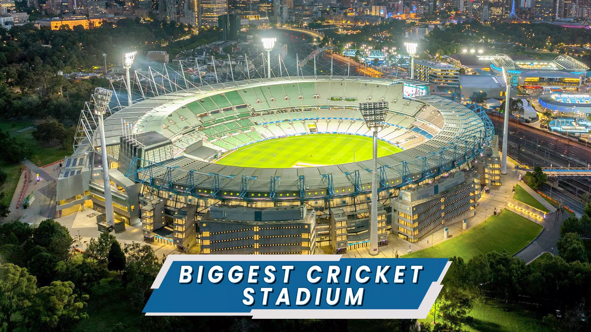 2024年板球锦标赛