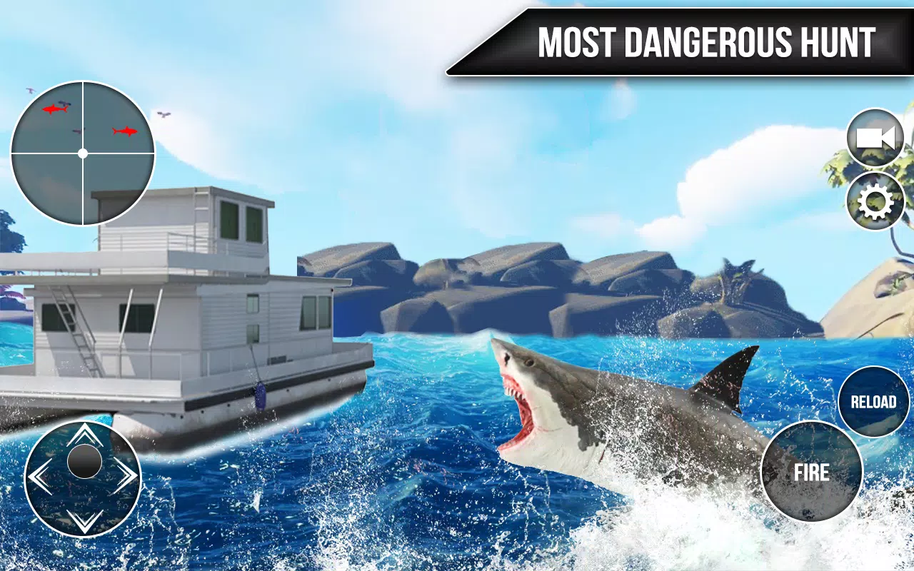 野鲨鱼狩猎游戏