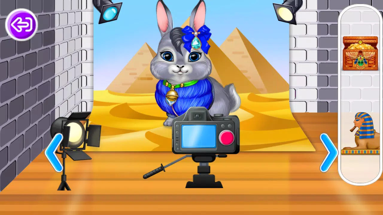 我最喜欢的宠物