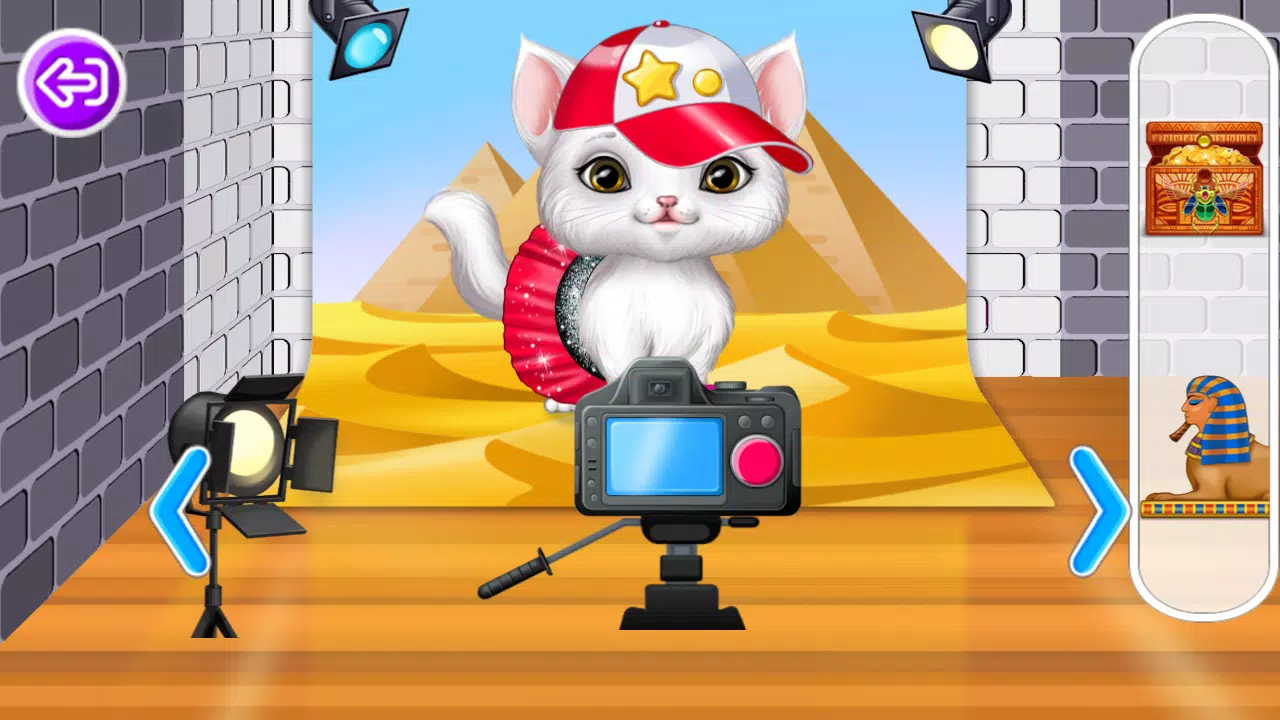 我最喜欢的宠物