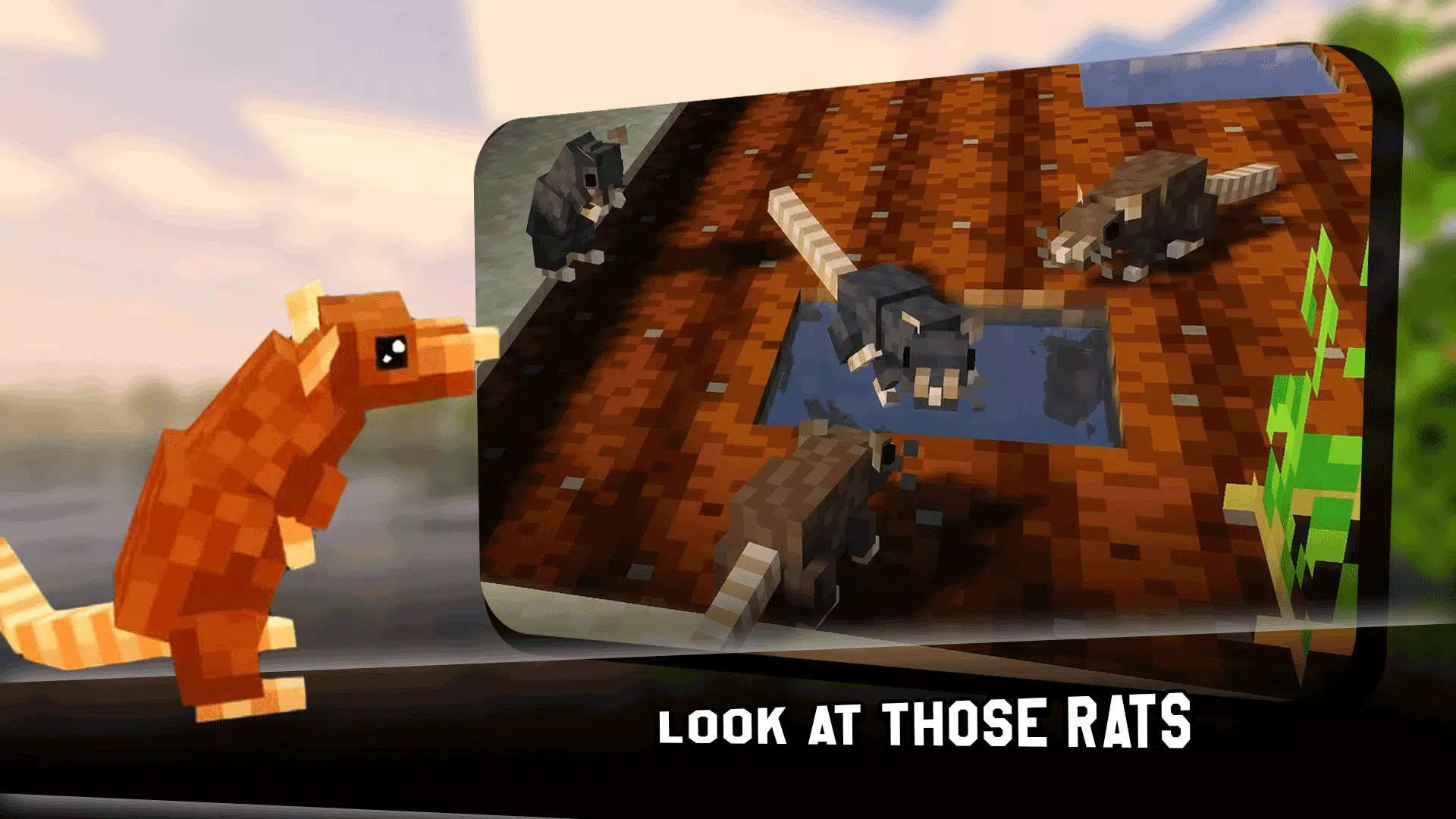 MCPE大鼠暴徒Addon