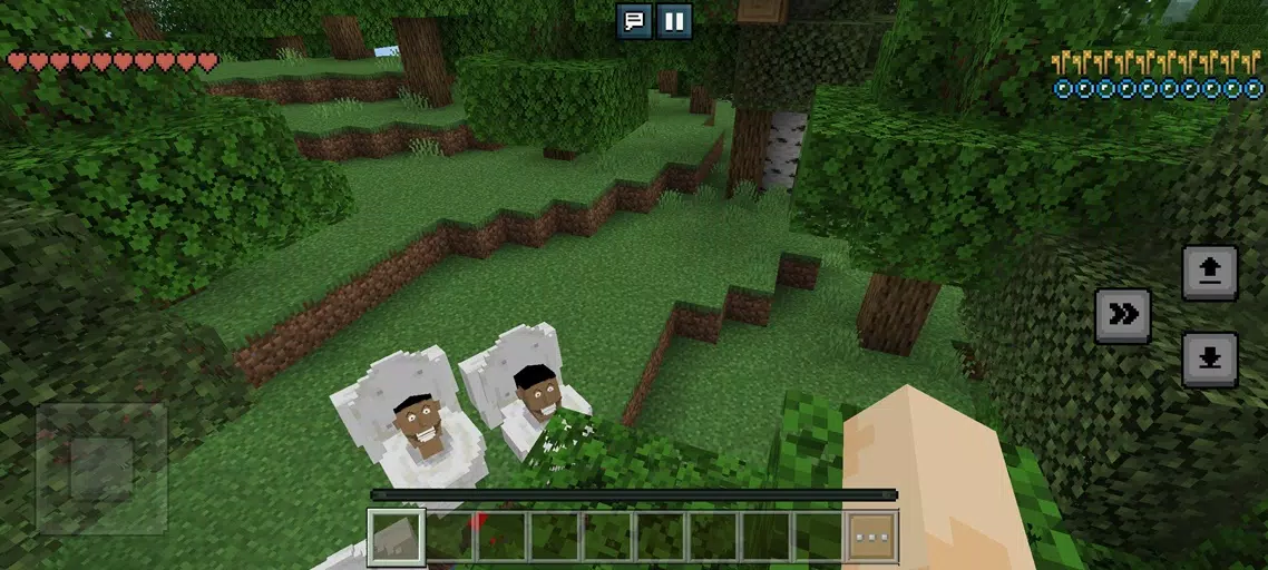 Lokicraft G男厕所 Lokicraft G男厕所