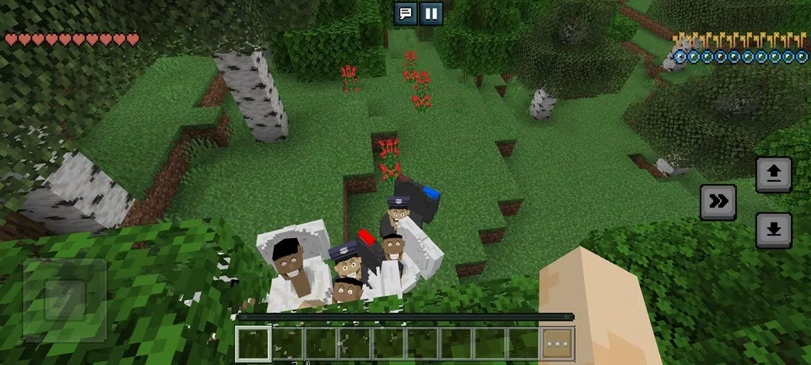 Lokicraft G男厕所 Lokicraft G男厕所