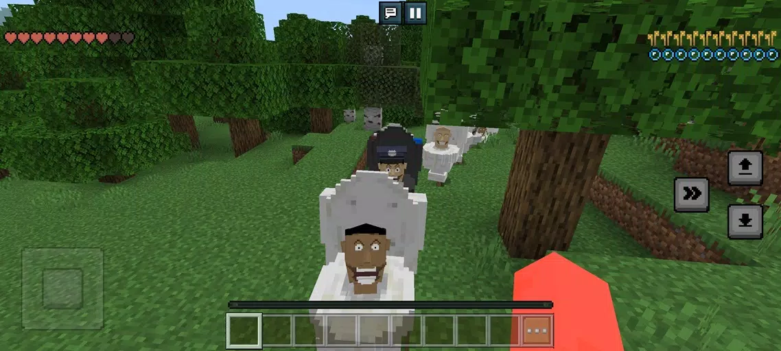 Lokicraft G男厕所 Lokicraft G男厕所