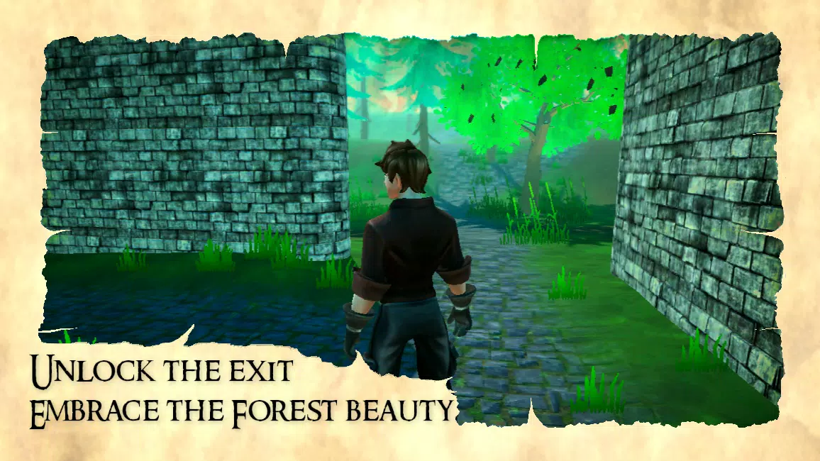 3D迷宫:迷失在迷宫中 3D迷宫:迷失在迷宫中