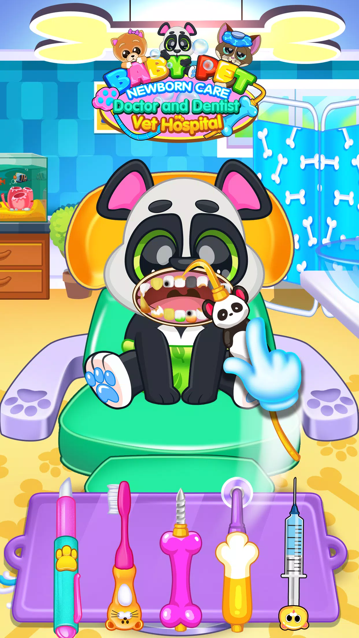 宠物宝宝 宠物宝宝